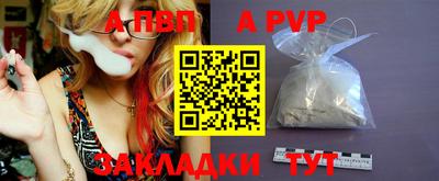 спиды Кингисепп