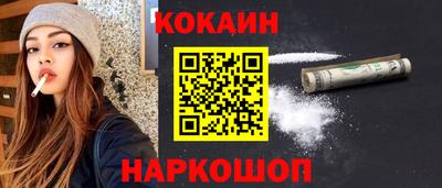 спиды Кингисепп
