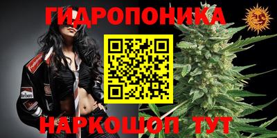 гашиш Кимры