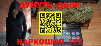 спиды Кингисепп