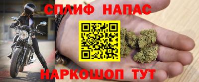 спиды Кингисепп