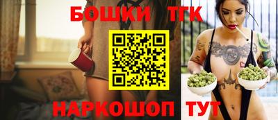 спиды Кингисепп