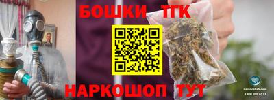 спиды Кингисепп
